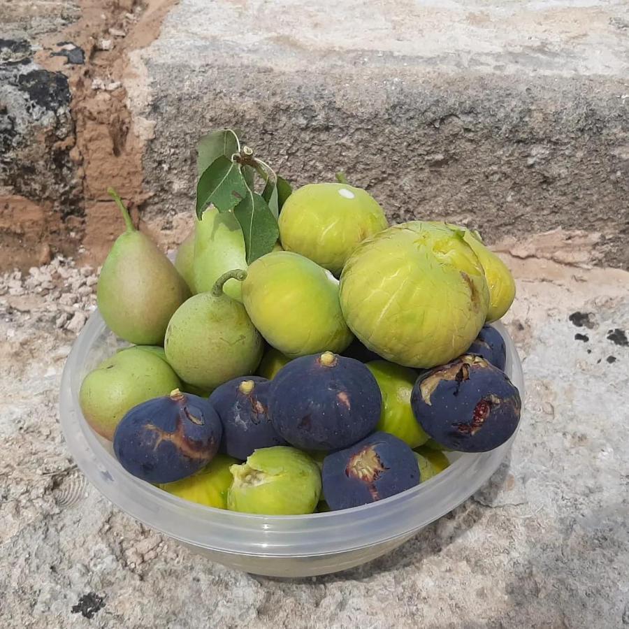 Appartamento Casina Pompiliano Nardò Esterno foto