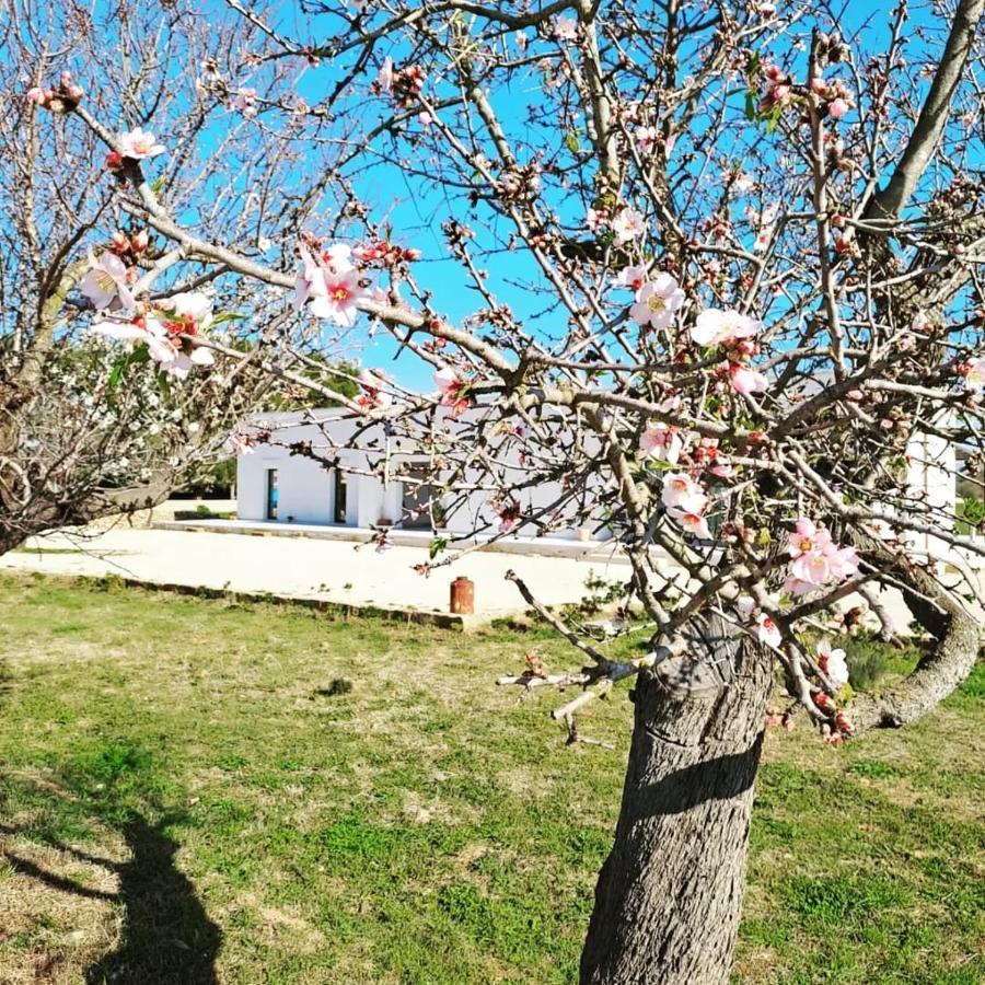 Appartamento Casina Pompiliano Nardò Esterno foto